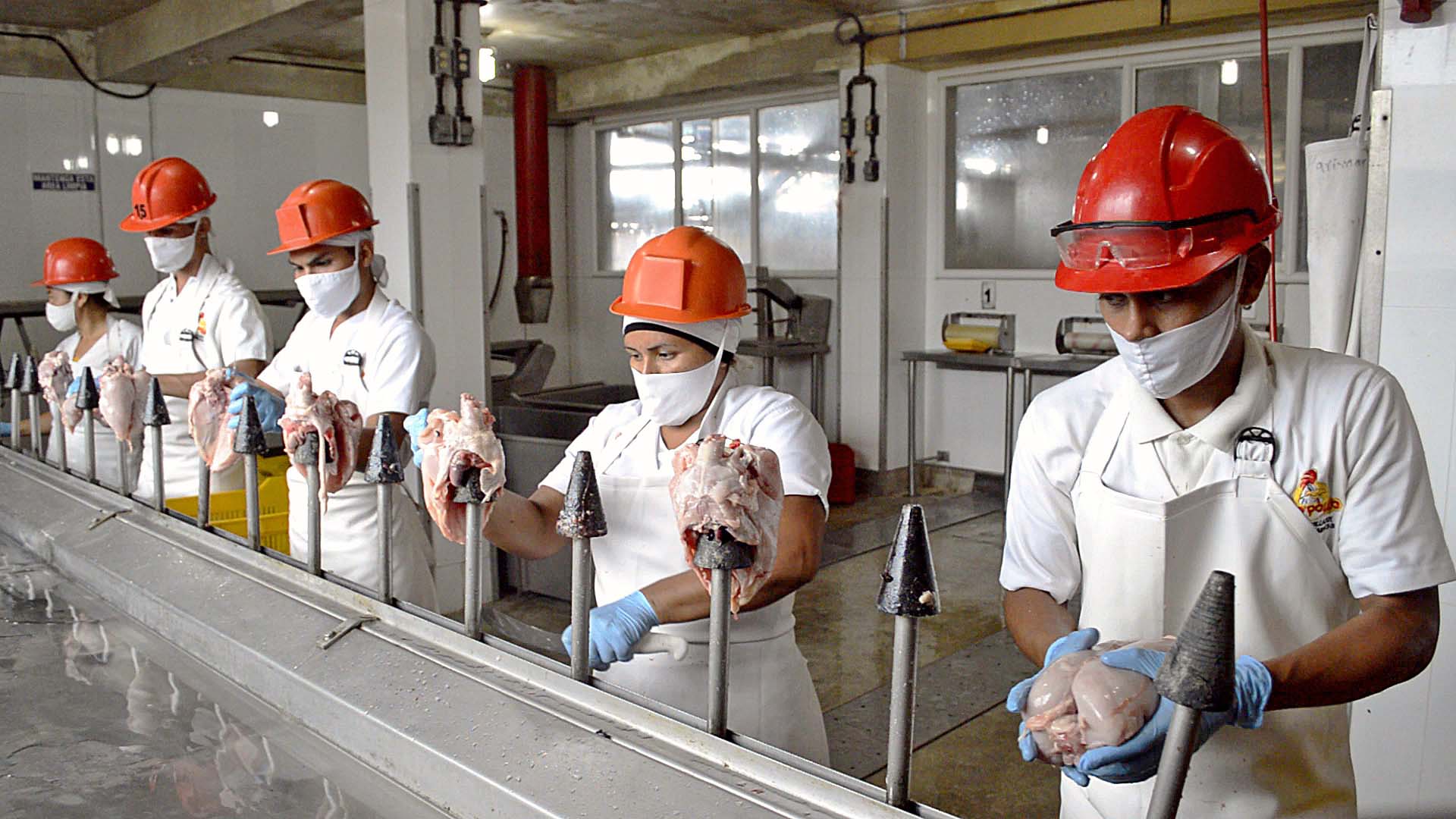 Inspección Sanitaria y Beneficio